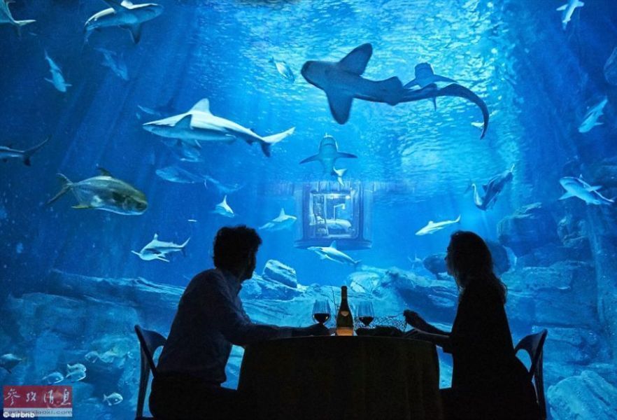 水族館房間（樂山大佛旅游住宿推薦） 水族館房間（樂山大佛旅游住宿推薦） 水族館百科（水族館加盟） 第4張