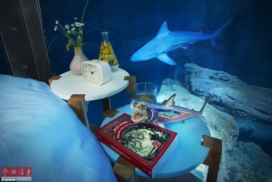 水族館房間（樂山大佛旅游住宿推薦） 水族館房間（樂山大佛旅游住宿推薦） 水族館百科（水族館加盟） 第5張