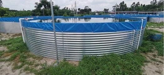 戶外觀賞魚池防鳥用什么（戶外觀賞魚池如何防鳥）