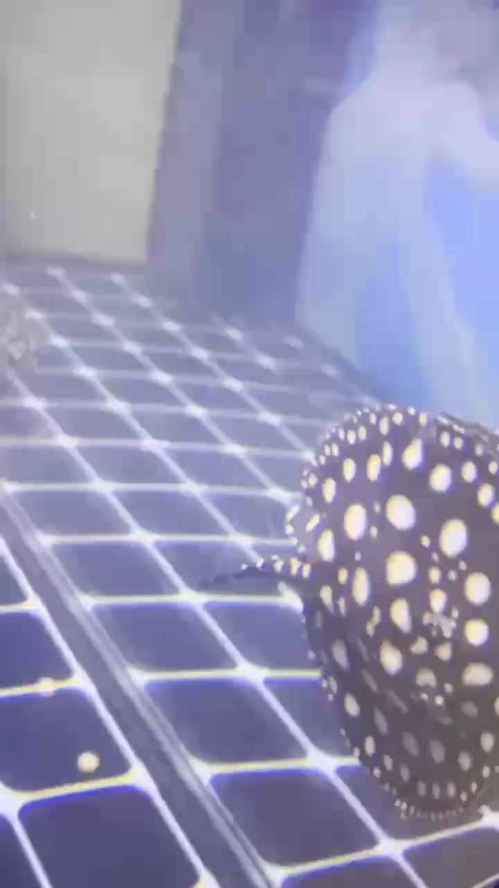 大神們幫我看下問題大嗎 大神們幫我看下問題大嗎 龍魚論壇 第1張