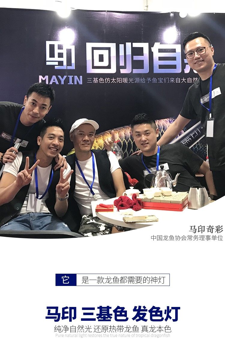 馬印龍魚燈管紅金龍魚專用燈T5潛水燈魚缸水族防水燈照明燈水中燈