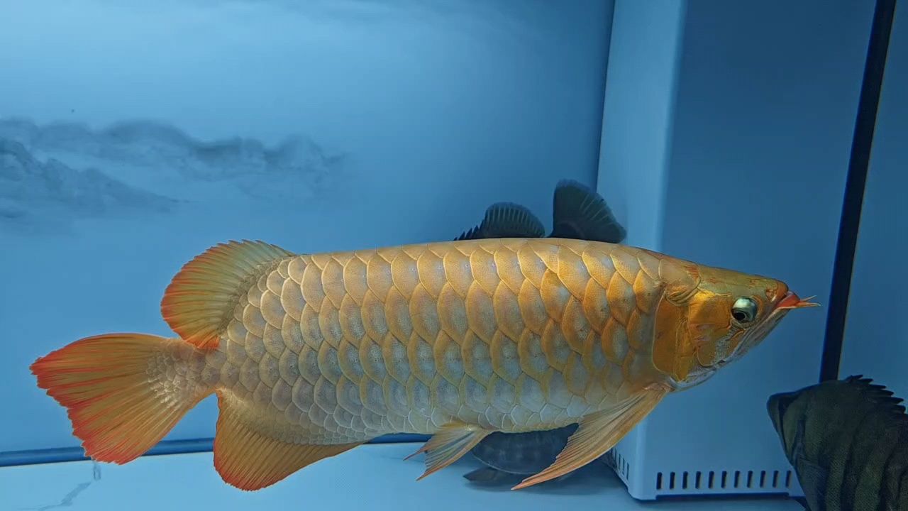 上班快樂??