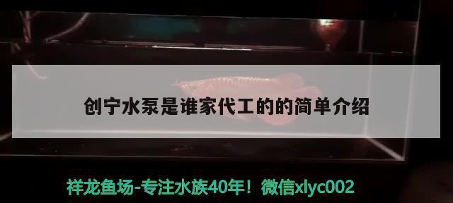 創寧水泵是誰家代工的的簡單介紹 創寧水泵是誰家代工的的簡單介紹 創寧水族