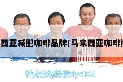 馬來西亞減肥咖啡品牌(馬來西亞咖啡牌子)