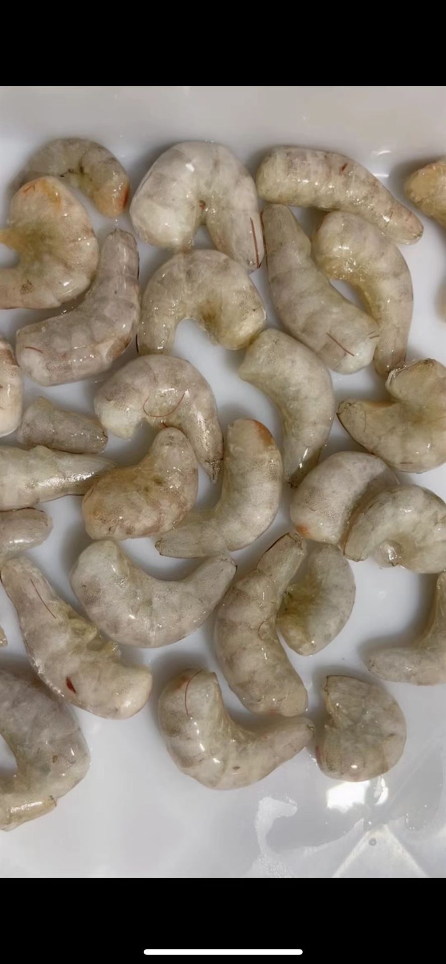 新鮮的喂魚凍蝦去頭尾蝦段 龍魚虎魚魚食 龍魚論壇 第1張 新鮮的喂魚凍蝦去頭尾蝦段 龍魚虎魚魚食 新鮮的喂魚凍蝦去頭尾蝦段 龍魚虎魚魚食 龍魚論壇 第1張