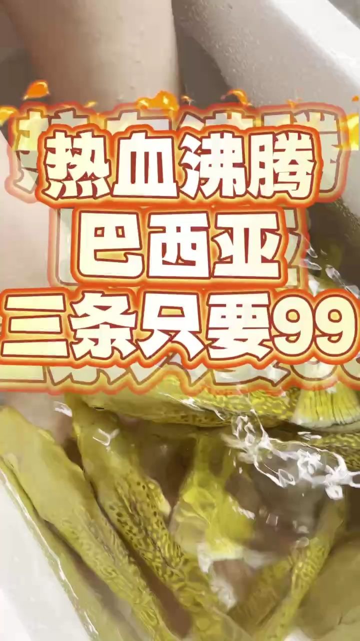 三間巴西亞三條只要99