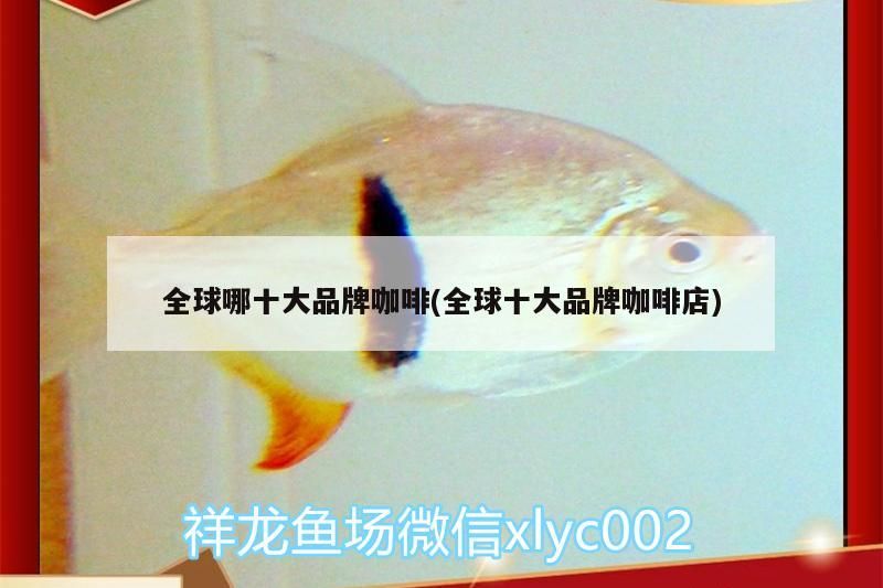 魚缸造景先放沙還是先放水(魚缸造景先鋪沙還是先放石頭) 全球哪十大品牌咖啡(全球十大品牌咖啡店) 馬來西亞咖啡 全球哪十大品牌咖啡(全球十大品牌咖啡店) 全球哪十大品牌咖啡(全球十大品牌咖啡店) 馬來西亞咖啡
