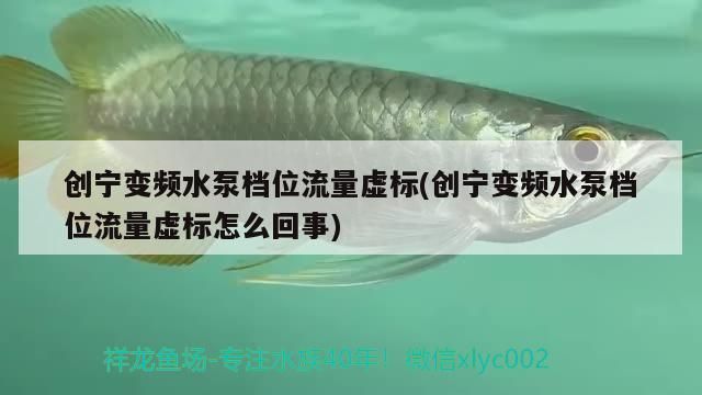 創(chuàng)寧變頻水泵檔位流量虛標(創(chuàng)寧變頻水泵檔位流量虛標怎么回事)