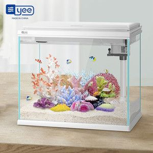 yee魚缸代理：yee魚缸代理是什么？ yee魚缸代理：yee魚缸代理是什么？ yee 第4張