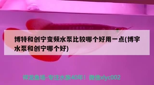 博特和創寧變頻水泵比較哪個好用一點(博宇水泵和創寧哪個好)