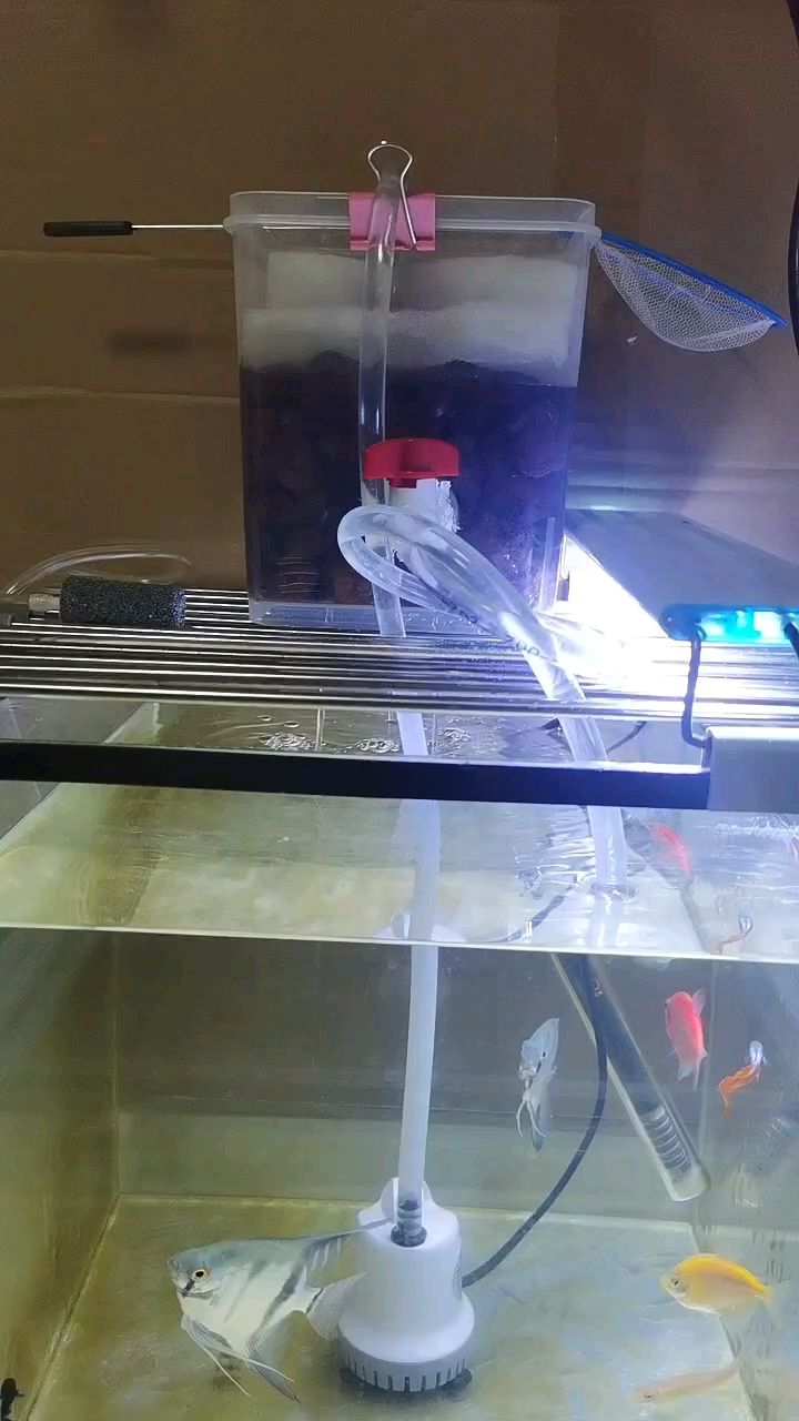 自制魚缸過濾