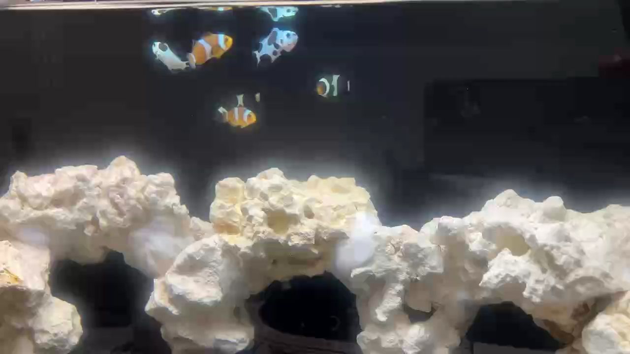 開飯啦 開飯啦～