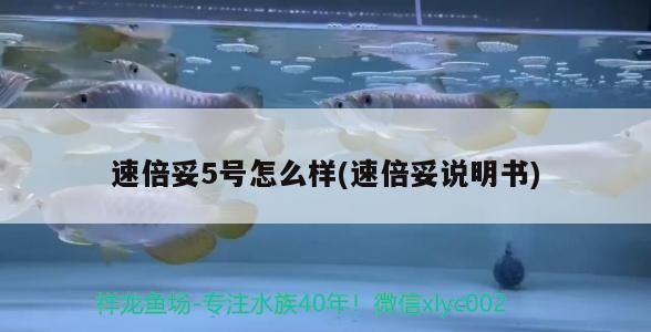 速倍妥5號(hào)怎么樣(速倍妥說(shuō)明書(shū))