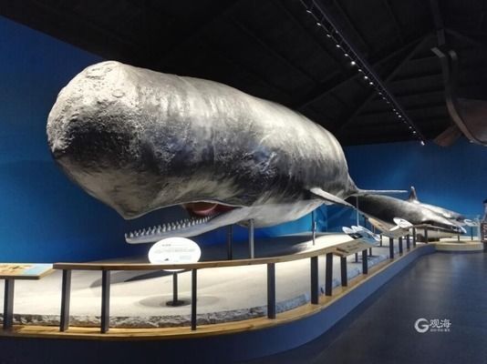 中國水族館發展現狀（中國水族館未來發展建議：加強人才培養、提高服務質量） 中國水族館發展現狀（中國水族館未來發展建議：加強人才培養、提高服務質量） 水族館百科（水族館加盟） 第3張