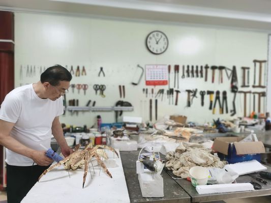 中國水族館發展現狀（中國水族館未來發展建議：加強人才培養、提高服務質量） 中國水族館發展現狀（中國水族館未來發展建議：加強人才培養、提高服務質量） 水族館百科（水族館加盟） 第4張