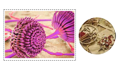 玉石金龍魚擺件寓意和象征是什么意思：玉石金龍魚擺件，祥瑞之韻，文化深意