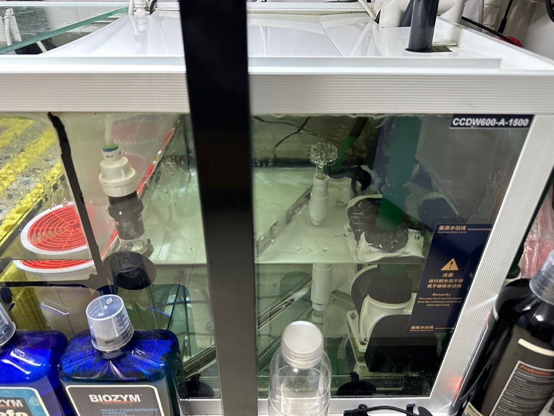 養魚不止，折騰不息。 最近改了二次回流，加個水泵倉吸油膜； 啟用了可麗愛自己的溢流區排便裝置，用一根魚絲杠桿防停電主缸被排空； 改了出水口位置，放在對面背面直下，加大魚缸靜水區； 氣泵改到出水口附近，推油膜到溢流區； 重頭戲是把第一格濾材的網袋丟了，網上下單亞克力板組裝6個過濾盒，希望過濾效果從此爆棚，網袋真不好，有死水區，裸放濾材又心疼玻璃； 老婆估計又吃醋了。