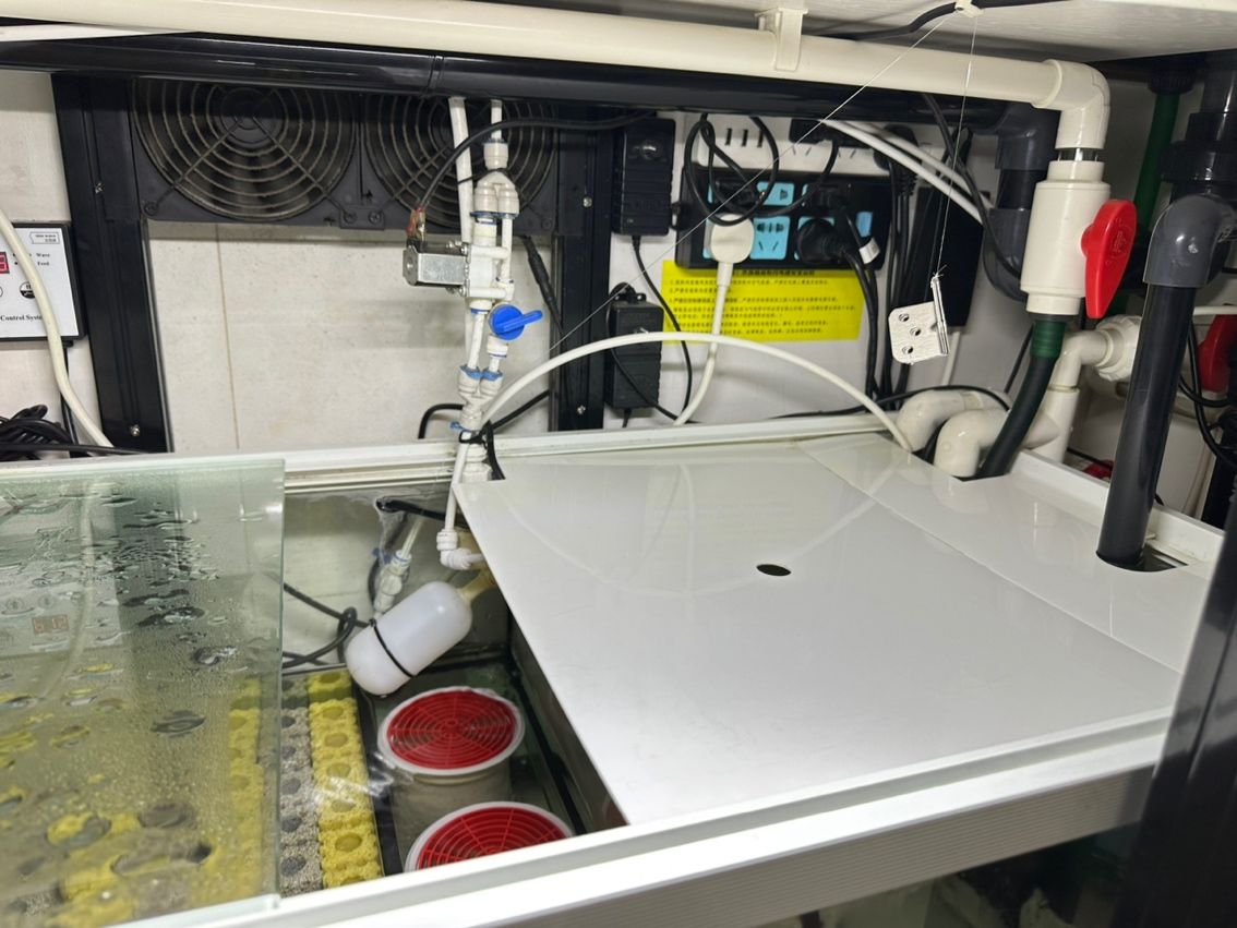 養魚不止，折騰不息。 最近改了二次回流，加個水泵倉吸油膜； 啟用了可麗愛自己的溢流區排便裝置，用一根魚絲杠桿防停電主缸被排空； 改了出水口位置，放在對面背面直下，加大魚缸靜水區； 氣泵改到出水口附近，推油膜到溢流區； 重頭戲是把第一格濾材的網袋丟了，網上下單亞克力板組裝6個過濾盒，希望過濾效果從此爆棚，網袋真不好，有死水區，裸放濾材又心疼玻璃； 老婆估計又吃醋了。