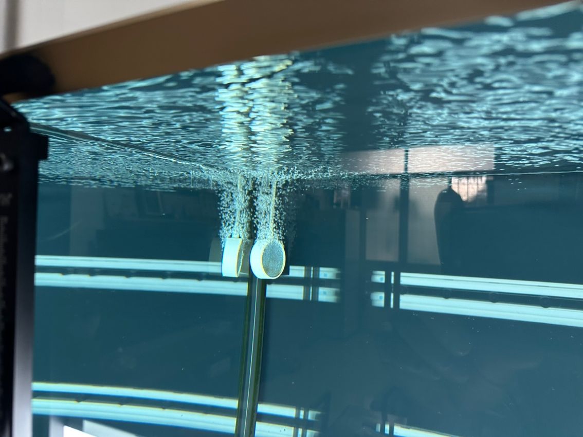 養魚不止，折騰不息。 最近改了二次回流，加個水泵倉吸油膜； 啟用了可麗愛自己的溢流區排便裝置，用一根魚絲杠桿防停電主缸被排空； 改了出水口位置，放在對面背面直下，加大魚缸靜水區； 氣泵改到出水口附近，推油膜到溢流區； 重頭戲是把第一格濾材的網袋丟了，網上下單亞克力板組裝6個過濾盒，希望過濾效果從此爆棚，網袋真不好，有死水區，裸放濾材又心疼玻璃； 老婆估計又吃醋了。