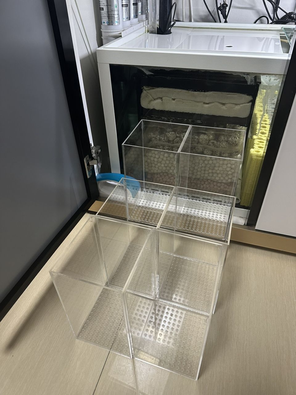 養魚不止，折騰不息。 最近改了二次回流，加個水泵倉吸油膜； 啟用了可麗愛自己的溢流區排便裝置，用一根魚絲杠桿防停電主缸被排空； 改了出水口位置，放在對面背面直下，加大魚缸靜水區； 氣泵改到出水口附近，推油膜到溢流區； 重頭戲是把第一格濾材的網袋丟了，網上下單亞克力板組裝6個過濾盒，希望過濾效果從此爆棚，網袋真不好，有死水區，裸放濾材又心疼玻璃； 老婆估計又吃醋了。