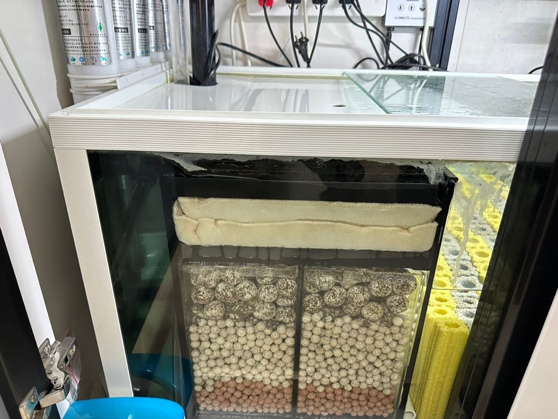 養魚不止，折騰不息。 最近改了二次回流，加個水泵倉吸油膜； 啟用了可麗愛自己的溢流區排便裝置，用一根魚絲杠桿防停電主缸被排空； 改了出水口位置，放在對面背面直下，加大魚缸靜水區； 氣泵改到出水口附近，推油膜到溢流區； 重頭戲是把第一格濾材的網袋丟了，網上下單亞克力板組裝6個過濾盒，希望過濾效果從此爆棚，網袋真不好，有死水區，裸放濾材又心疼玻璃； 老婆估計又吃醋了。