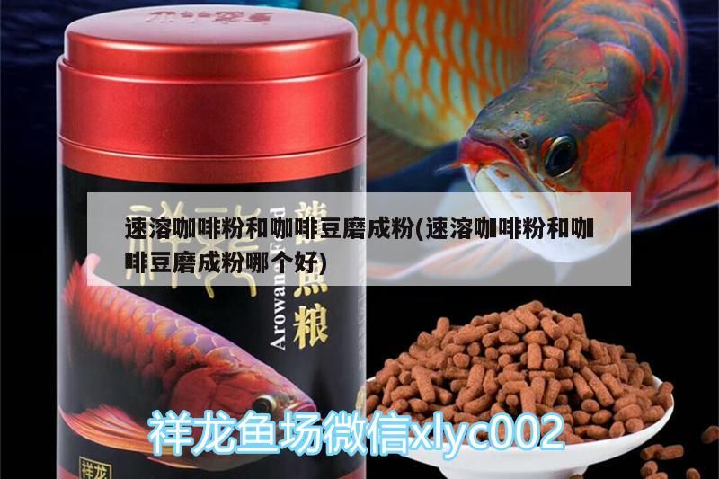 速溶咖啡粉和咖啡豆磨成粉(速溶咖啡粉和咖啡豆磨成粉哪個(gè)好)