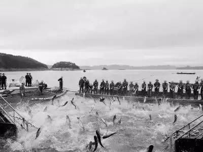 放魚養(yǎng)水 水清魚歡（放魚養(yǎng)水是一種怎樣的體驗(yàn)？） 放魚養(yǎng)水 水清魚歡（放魚養(yǎng)水是一種怎樣的體驗(yàn)？） 愛龍仕 第4張