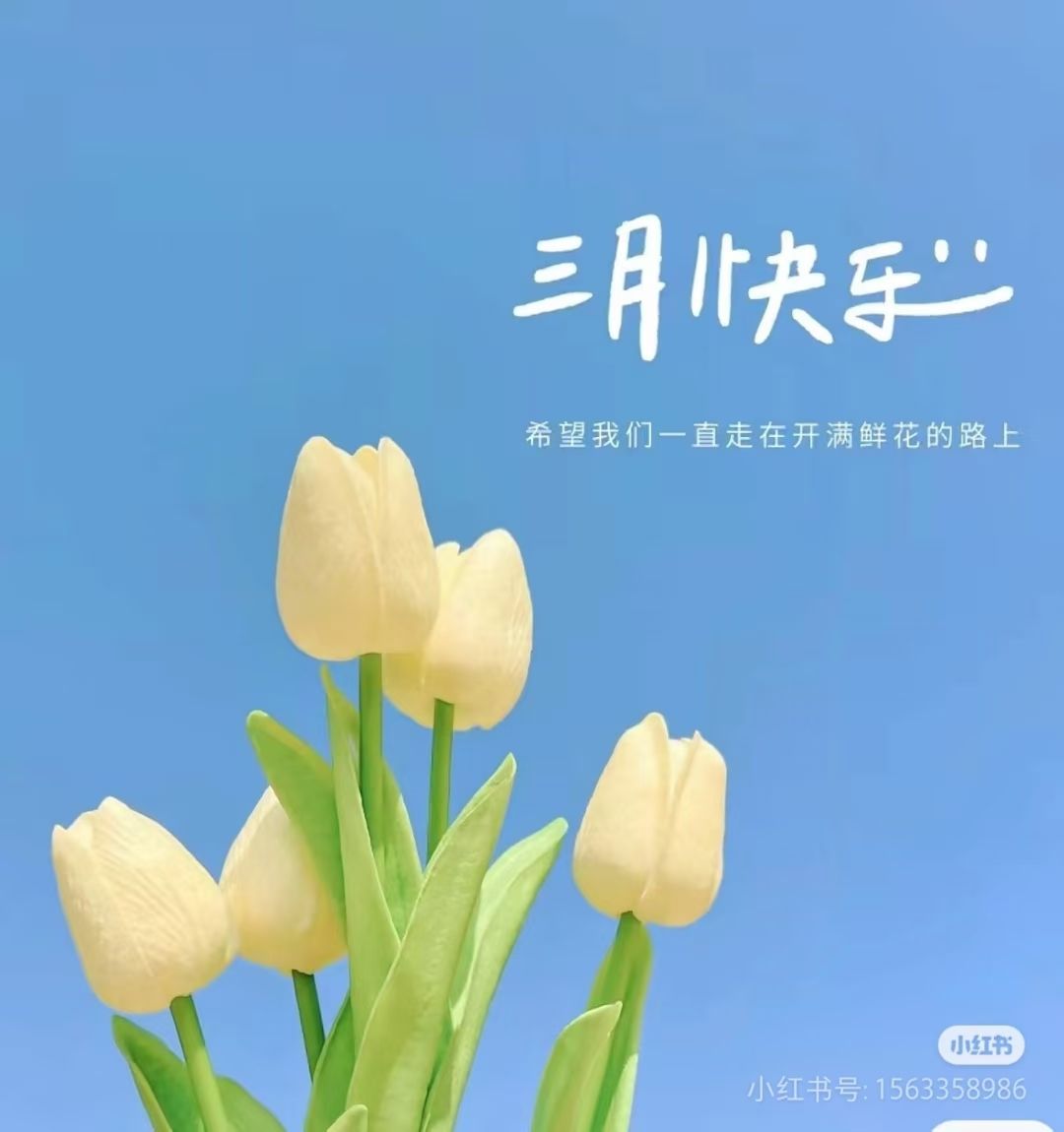 今天的雨好大雨好大 今天的雨好大雨好大 龍魚論壇