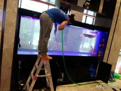 不用充氧的觀賞魚（不用充氧的觀賞魚及其特點：不用充氧的觀賞魚及其特點） 不用充氧的觀賞魚（不用充氧的觀賞魚及其特點：不用充氧的觀賞魚及其特點） 錦鯉魚百科 第3張
