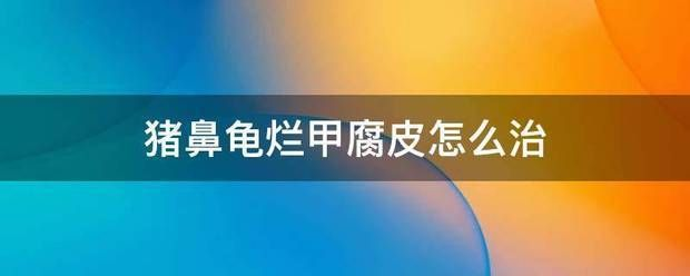 豬鼻龜爛甲腐皮用什么藥：豬鼻龜爛甲腐皮怎么辦