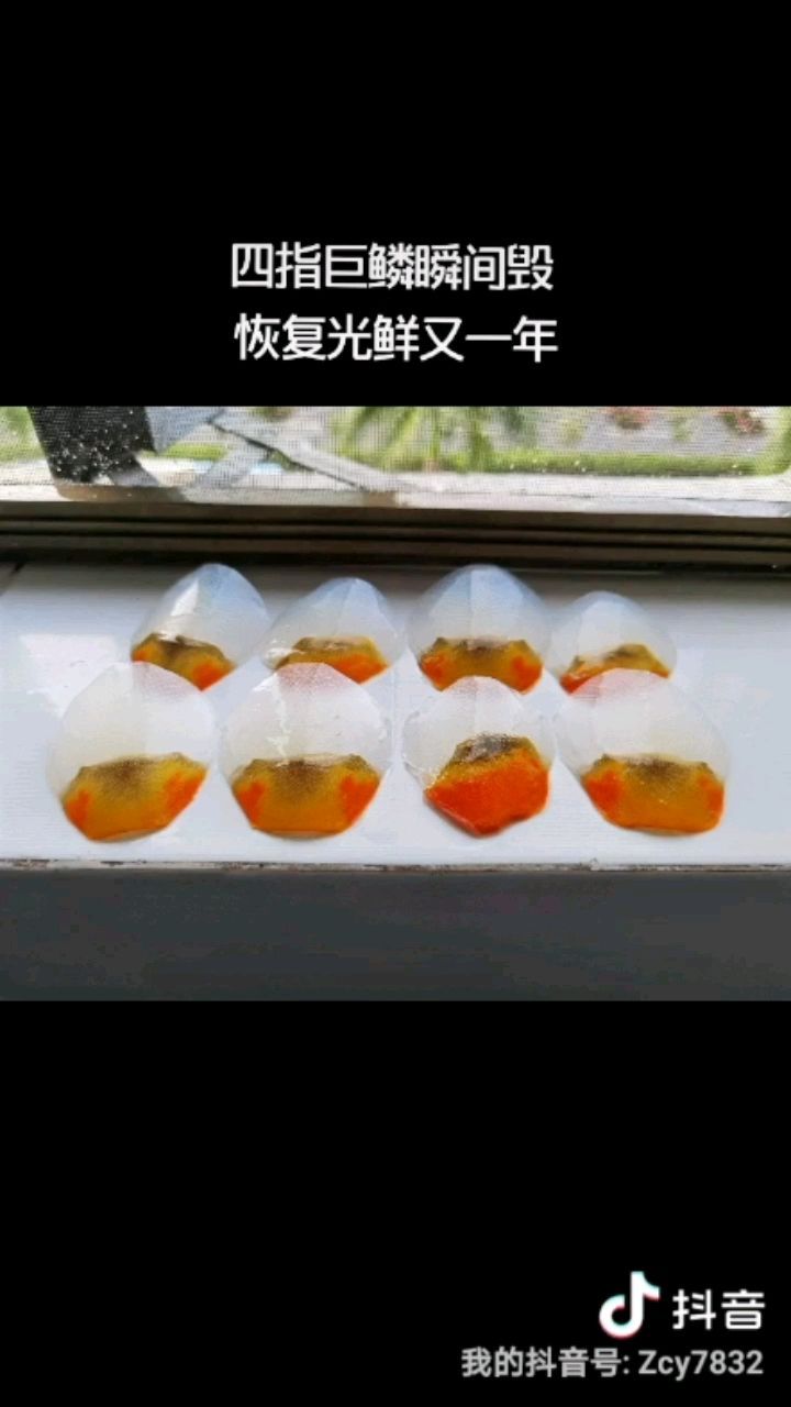 珍愛龍魚遠離配對