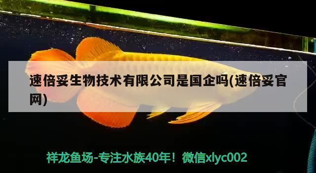魚缸用增氧泵價格是多少:魚缸增氧機-xtrac增氧機-xtrac增氧機 速倍妥生物技術有限公司是國企嗎(速倍妥官網) 速倍妥 速倍妥生物技術有限公司是國企嗎(速倍妥官網) 速倍妥生物技術有限公司是國企嗎(速倍妥官網) 速倍妥