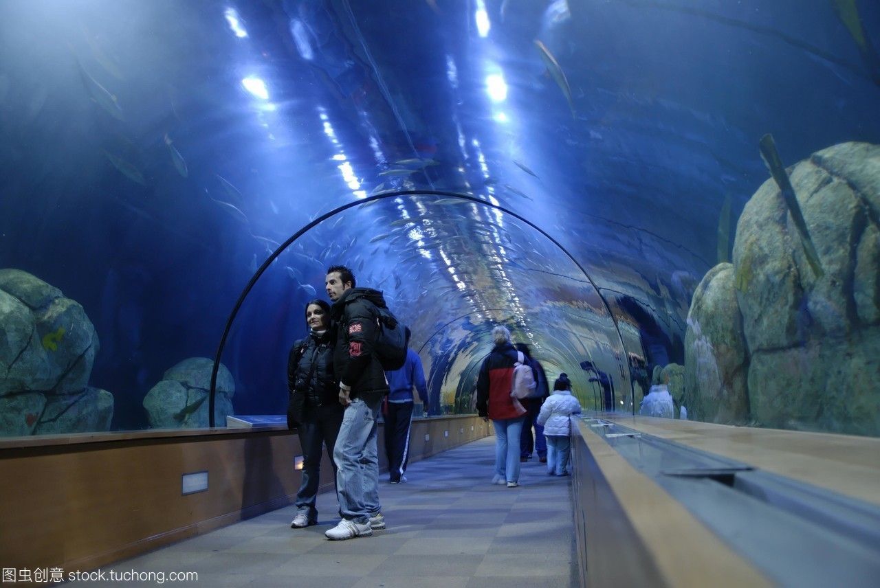 水族館是什么地方的城市（坎布里亞郡水族館的教育項目，全球著名水族館的游客評價）