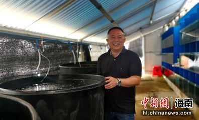 海南觀賞魚協(xié)會(huì)會(huì)長是誰（海南省觀賞魚產(chǎn)業(yè)協(xié)會(huì)會(huì)長是誰？）