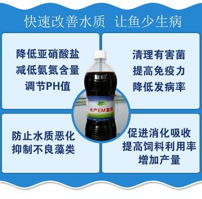 臨潼可麗愛魚缸專賣店電話：臨潼可麗愛魚缸專賣店，打造水族世界的藝術殿堂