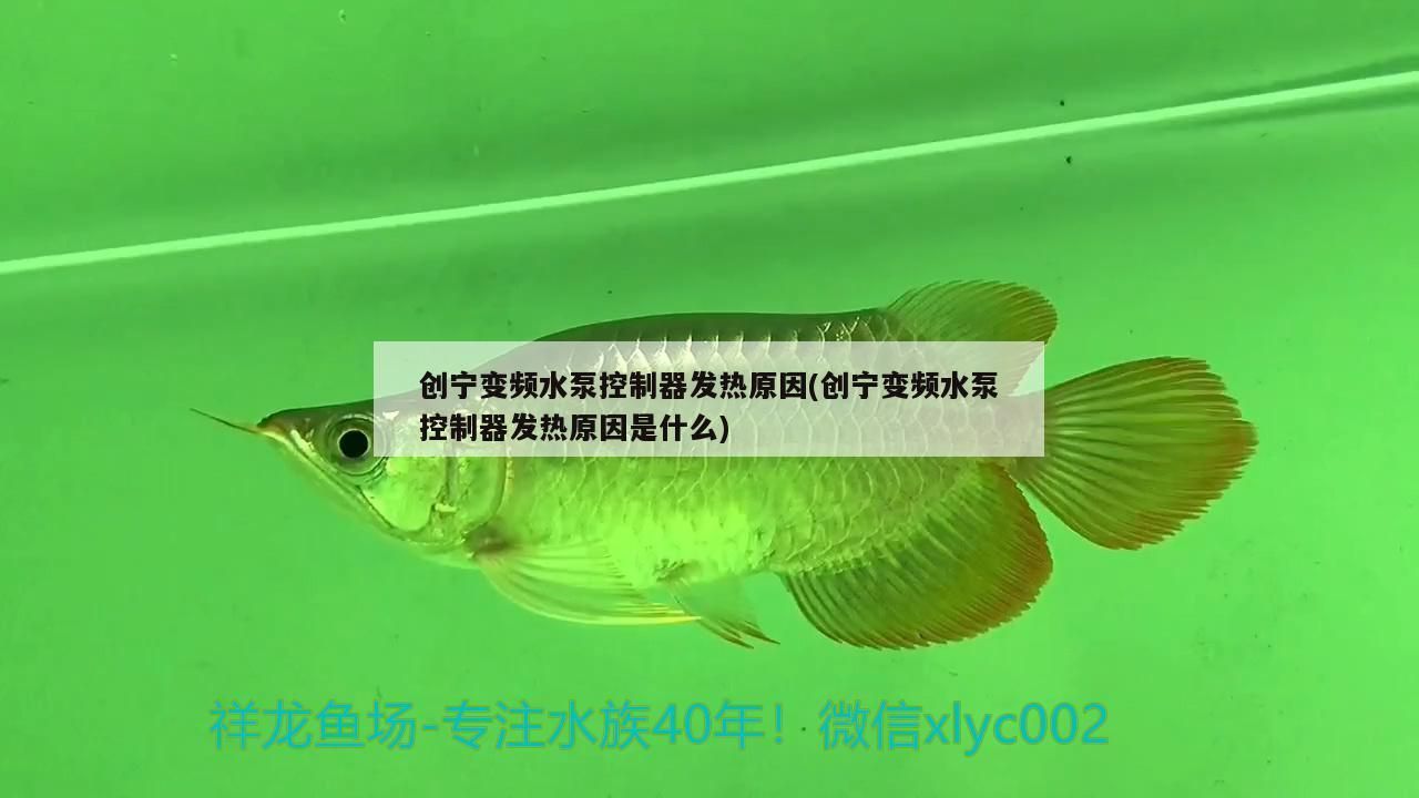創寧變頻水泵控制器發熱原因(創寧變頻水泵控制器發熱原因是什么) 創寧變頻水泵控制器發熱原因(創寧變頻水泵控制器發熱原因是什么) 創寧水族