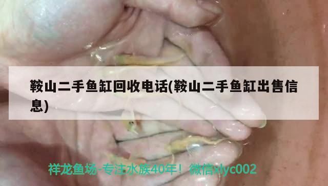 鞍山二手魚缸回收電話(鞍山二手魚缸出售信息)