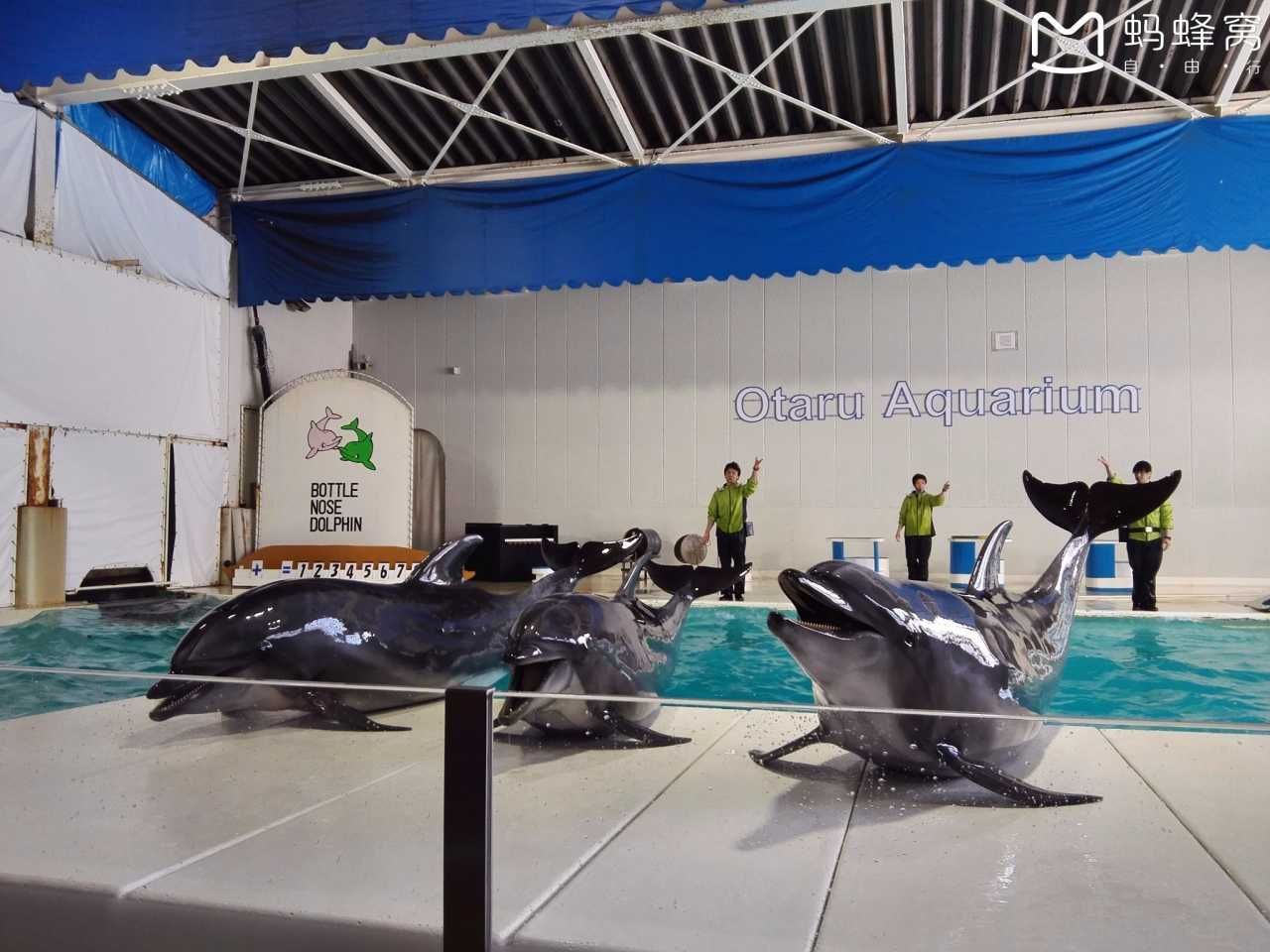 小樽水族館官網旗艦店：小樽水族館官網旗艦店介紹