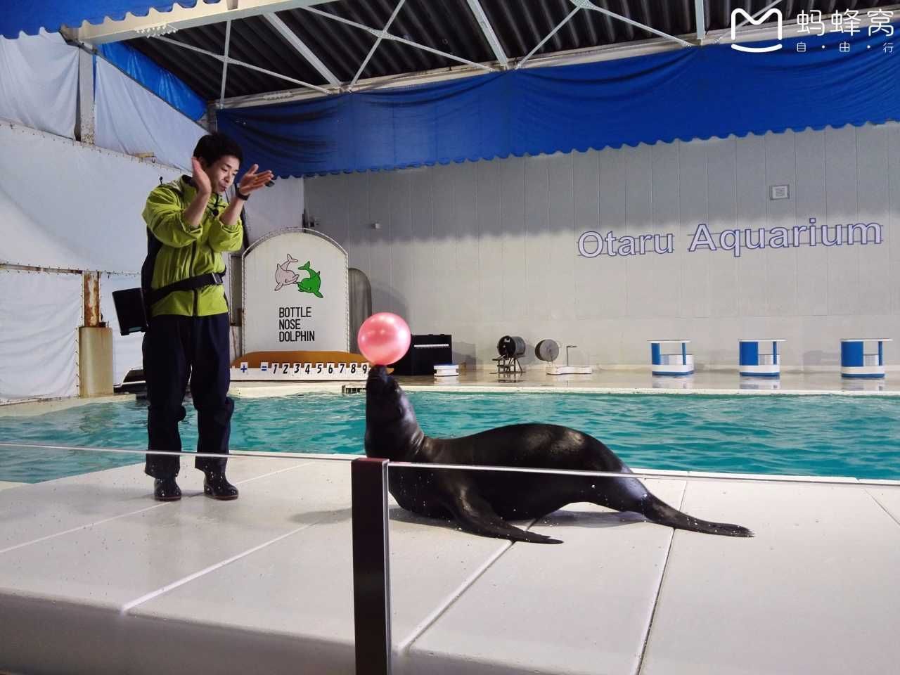 小樽水族館官網旗艦店：小樽水族館官網旗艦店介紹