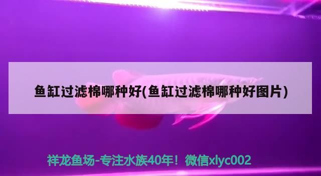 魚缸如何清潔水質更好（ 魚缸如何清潔水質更好一些）