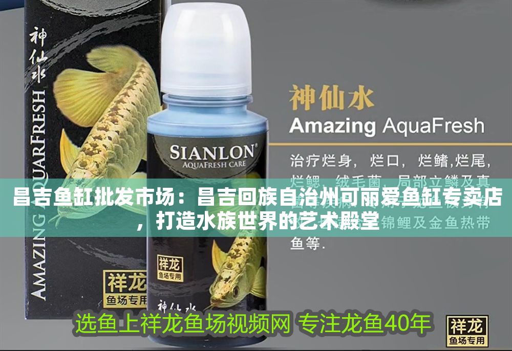 昌吉魚缸批發市場：昌吉回族自治州可麗愛魚缸專賣店，打造水族世界的藝術殿堂