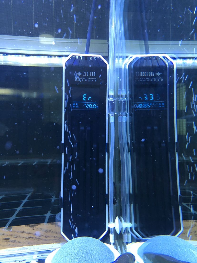 江門水族館老魚匠什么錢都敢賺？ 江門水族館老魚匠什么錢都敢賺？ 老魚匠 第2張
