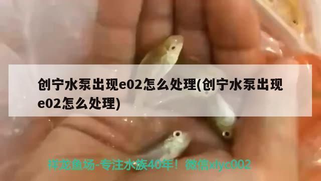 創(chuàng)寧水泵出現(xiàn)e02怎么處理(創(chuàng)寧水泵出現(xiàn)e02怎么處理) 創(chuàng)寧水泵出現(xiàn)e02怎么處理(創(chuàng)寧水泵出現(xiàn)e02怎么處理) 創(chuàng)寧水族