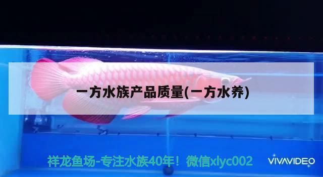 一方水族產(chǎn)品質(zhì)量(一方水養(yǎng))