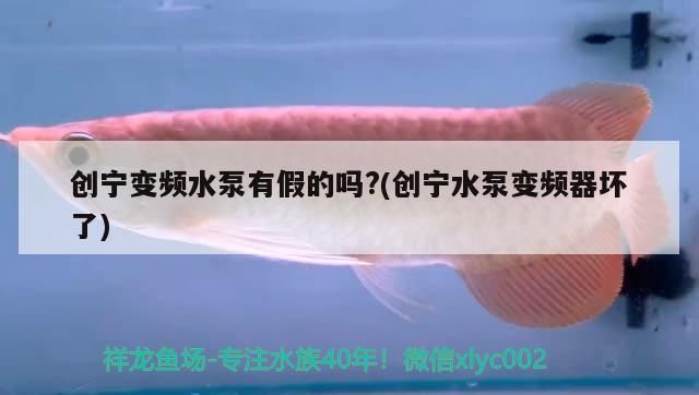 創寧變頻水泵有假的嗎?(創寧水泵變頻器壞了)