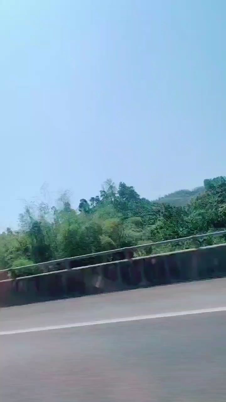 今天是二月二龍抬頭，祝今年事事順遂，會越來越好，南無阿彌陀佛?????? 今天是二月二龍抬頭，祝今年事事順遂，會越來越好，南無阿彌陀佛?????? 龍魚論壇