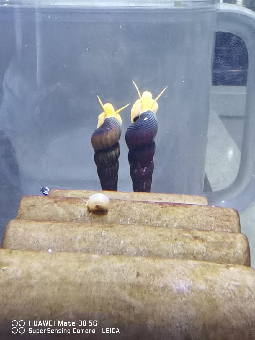 東莞魚缸定制：深圳魚缸定制工廠