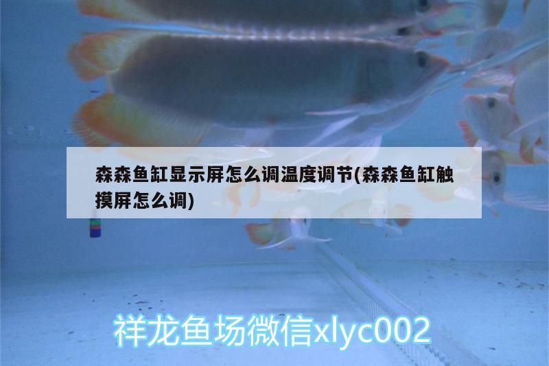 森森魚缸顯示屏怎么調溫度調節(jié)(森森魚缸觸摸屏怎么調)