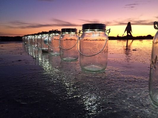 龍魚多少錢一條 白色vs祥龍魚場：白色龍魚和祥龍魚場價格波動，白色金龍魚價格波動，價格波動