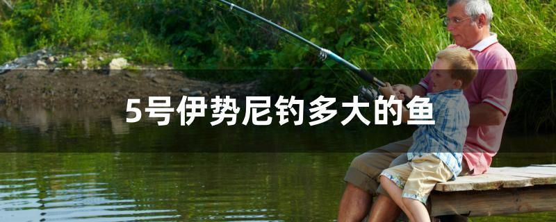 魚缸用增氧泵價格是多少:魚缸增氧機-xtrac增氧機-xtrac增氧機 5號伊勢尼釣多大的魚 速倍妥魚糧魚藥 5號伊勢尼釣多大的魚 5號伊勢尼釣多大的魚 速倍妥魚糧魚藥